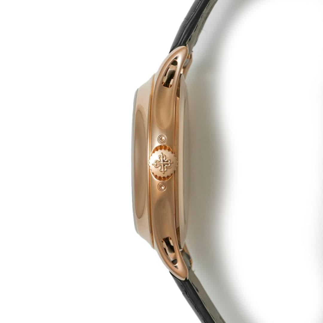 Patek Philippe Complications Calendrier Annuel — vue 6
