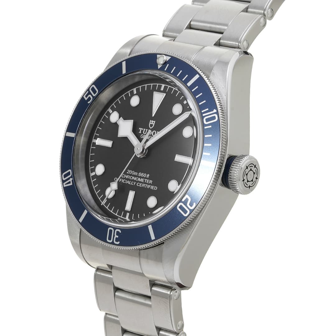 Tudor Heritage Black Bay — vue 2