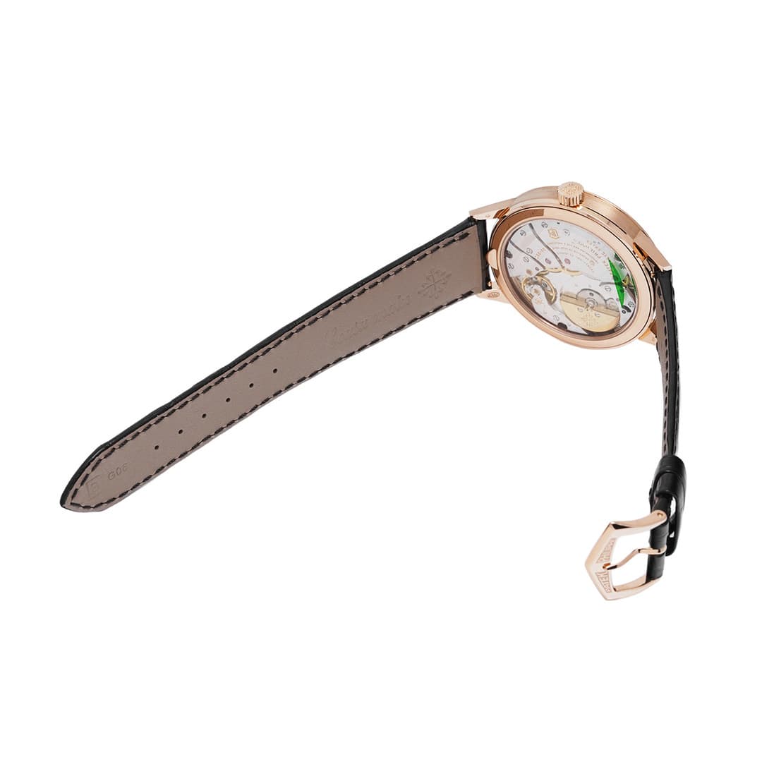 Patek Philippe Complication Calendrier Annuel Régulateur — vue 4