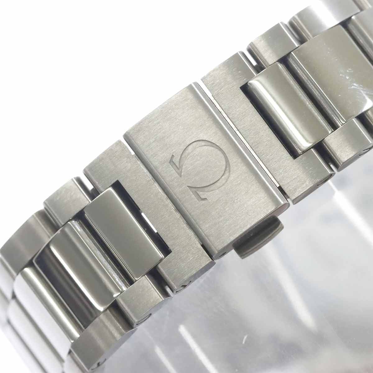 Omega Seamaster Aqua Terra GoodPlanet — vue 7