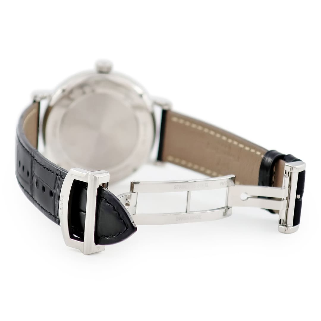 IWC Portofino Pointer Date — vue 3